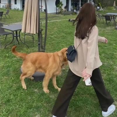 天使的信仰